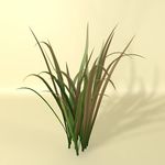 花草模型 植物模型 花卉模型