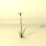 花草模型 植物模型 花卉模型