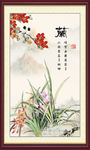 兰花