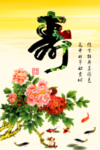 牡丹 祝寿图