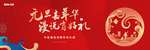元旦 返乡 新春