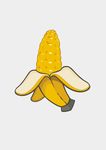香蕉 玉米插画