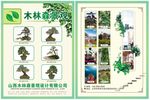 园艺公司宣传