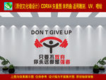 健身文化墙