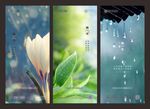 雨水