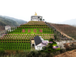 山坡绿化景观设计效果图