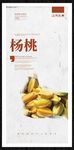 杨桃