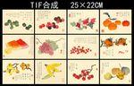 新中式手绘蔬果装饰画