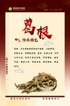 中药葛根