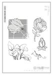 矢量花瓣
