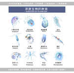 浮游生物图标