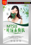 叶绿素焕肤