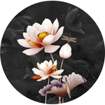 荷花图
