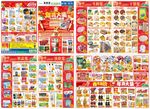 年货大集超市邮报DM单