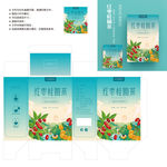 花茶包装 红枣茶 桂圆红枣
