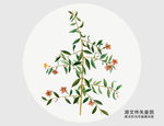 手绘枸杞浆果树枝插画