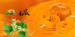 绿皮南瓜