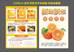 新鲜 沃柑 水果 快递单页