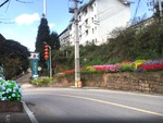 乡村花境景观设计效果图