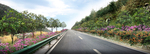 道路花境景观设计效果图
