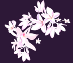 数码印花 女装印花 小碎花