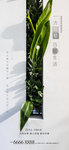 节气