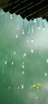雨水节气稿 地产海报
