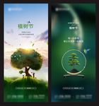 植树节 312
