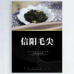 信阳毛尖