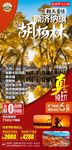 胡杨林