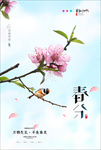 简约花朵春分节气海报