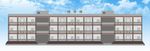 校园文化 教学校