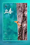 简约啄木鸟立春海报
