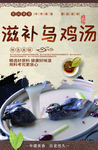滋补乌鸡汤