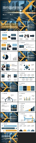 商务会议汇报项目介绍PPT