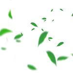 绿色茶叶植物元素
