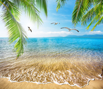 沙滩海边椰树背景墙