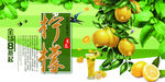 柠檬