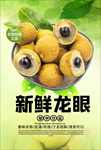 龙眼