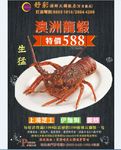 澳洲龙虾海报特价生猛海鲜