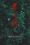 春分 二十四节气
