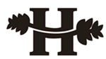 H字母