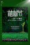 植树节