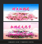 杜鹃花