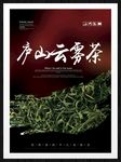 庐山云雾茶