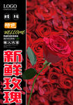 新鲜玫瑰