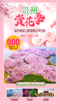 贵州平坝樱花简单大气小清新旅游