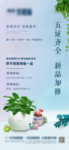 地产送绿植