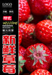 新鲜草莓