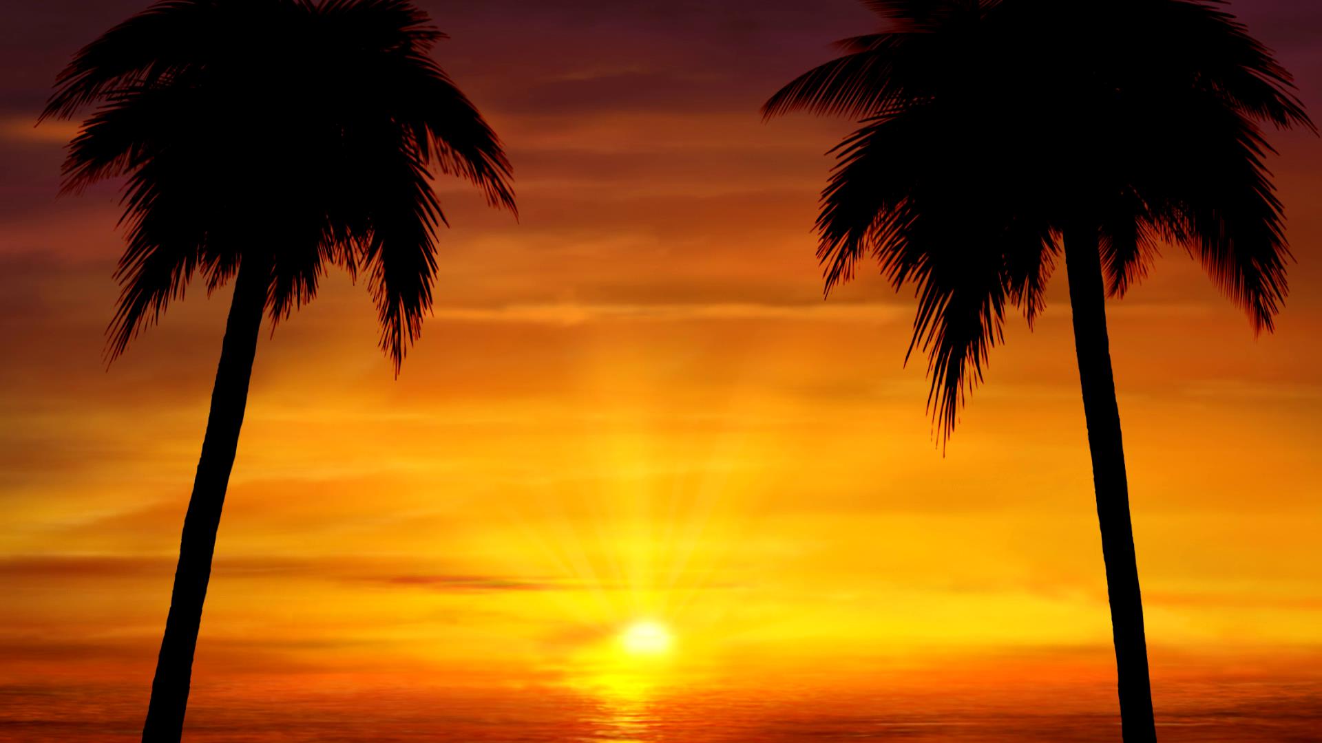 黄昏动态LED背景视频素材